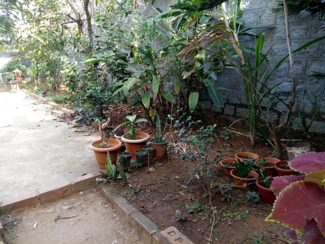 Coorg Villas Мадикери Екстериор снимка